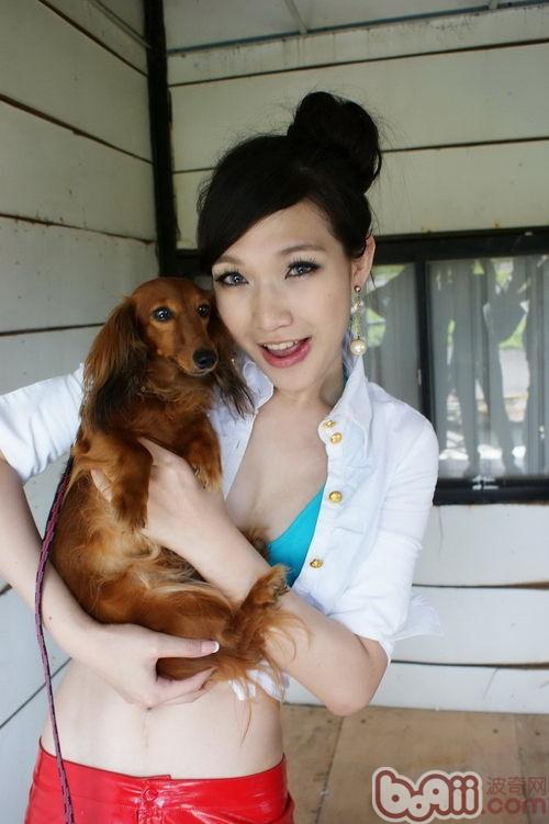 腊肠犬的健康档案