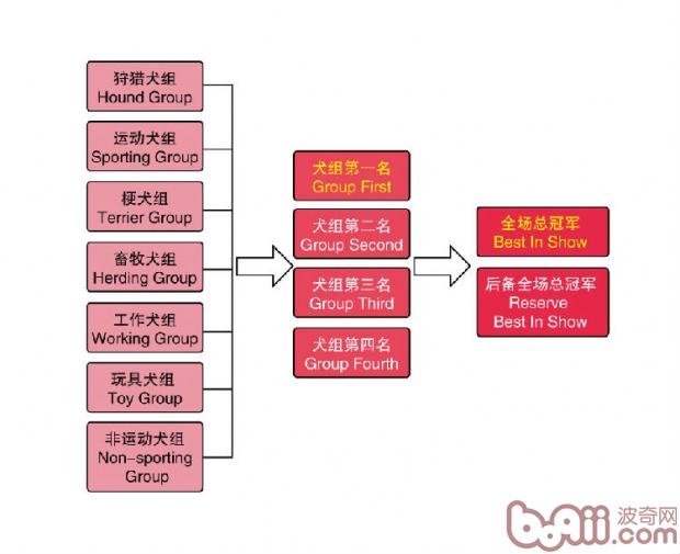 一篇成为繁殖者必学知识帖