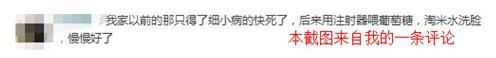 关于细小病毒的偏方和想法