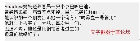 关于细小病毒的偏方和想法