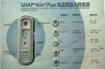 一例蜱虫叮咬的病例分析