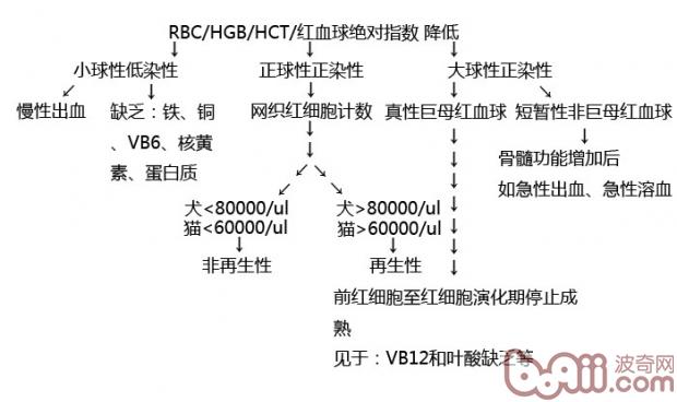 狗狗贫血知多少