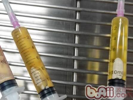 一例杜宾犬的胸腔积液的病例分析