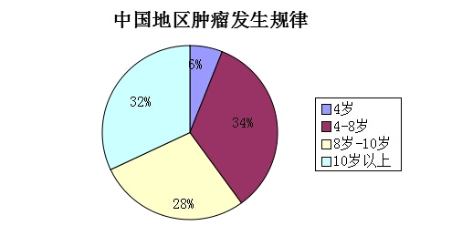 宠物肿瘤常见误区