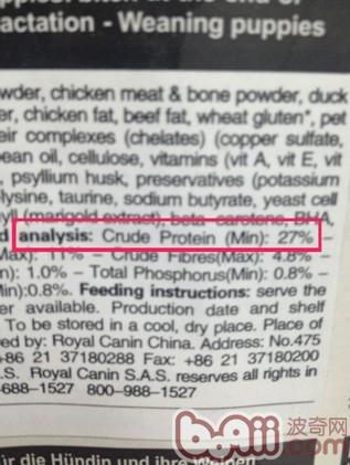 狗粮、猫粮标签中的蛋白质到底高好还是低好