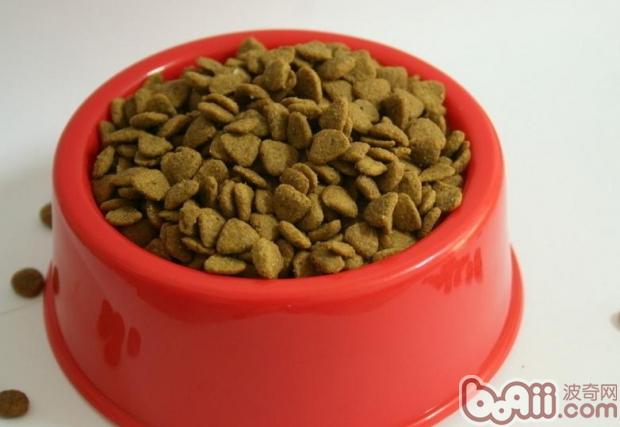 狗干粮和狗湿粮哪个对狗狗更好