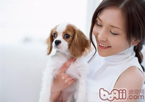 狗狗不是玩具，日常抱狗狗的注意事项