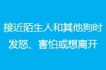 你的狗狗社会化程度如何