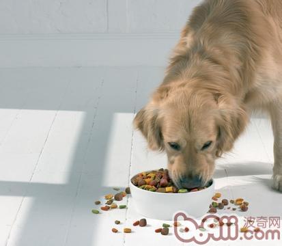 关注宠物食品安全，选择天然粮的理由