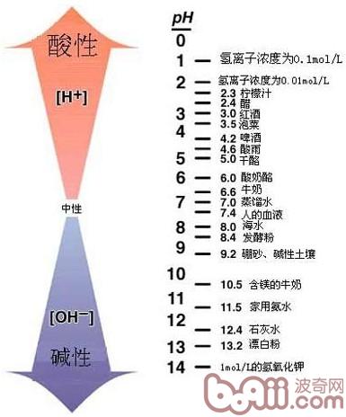 狗狗尿液会导致爆胎是真的吗