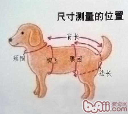 狗狗衣服怎么做？