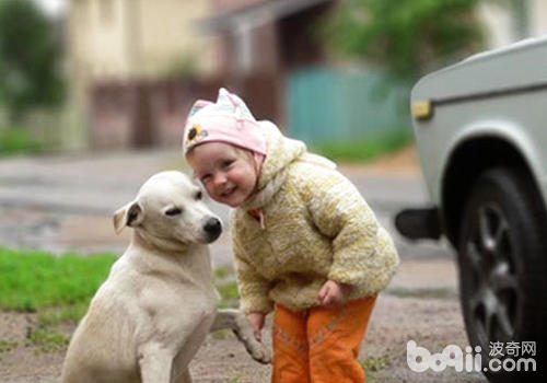孩子害怕狗狗怎么办