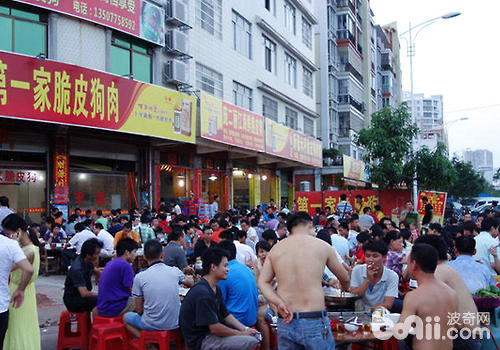 狗肉节是否该被杜绝