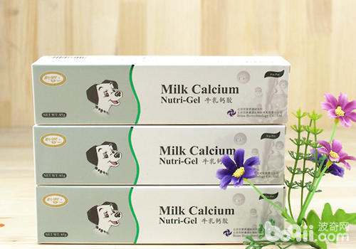 怎样照顾癫痫的狗狗