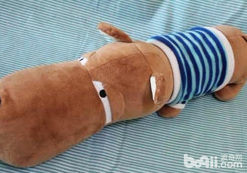 选择狗狗毛绒玩具要注意哪些问题