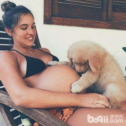 怀孕期间可不可以养狗，怀孕期间养狗的注意事项