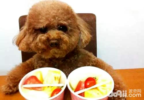四种可以给狗狗吃的人类食物，可以给狗狗吃的人类食物
