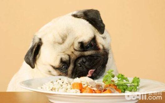 不能给狗狗吃的食物都有哪些？