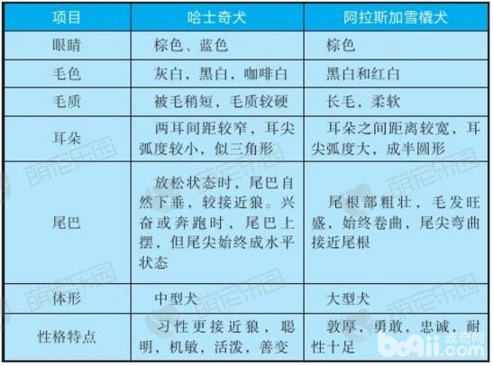 哈士奇犬与阿拉斯加雪橇犬有什么区别？