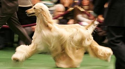 影响排便