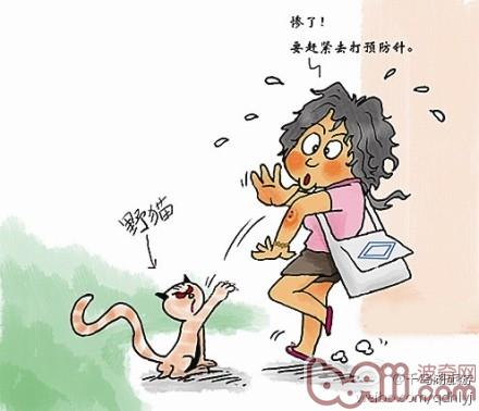 被猫狗咬伤怎么办被狗、猫咬伤、抓伤，怎么办？