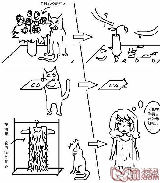 猫咪行为图解:养过猫的都懂 