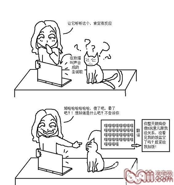 猫咪行为图解:养过猫的都懂 