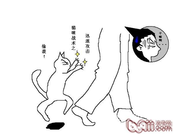 猫咪行为图解:养过猫的都懂 