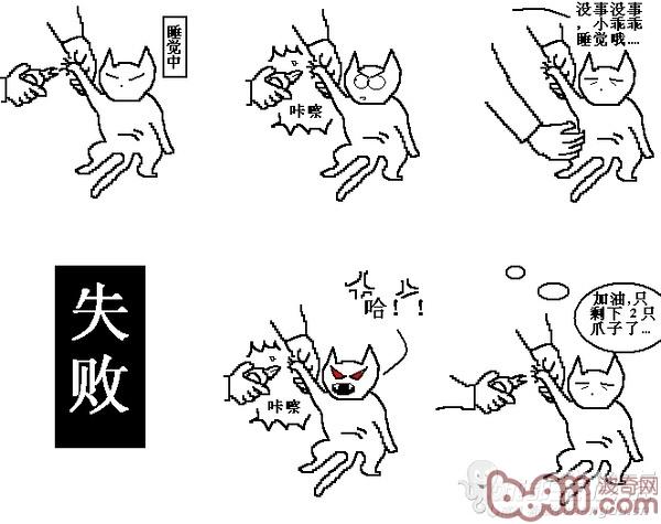 怎么给宠物猫剪指甲