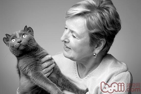 带你探求猫咪耳朵的隐秘