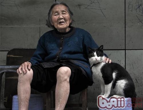 猫的发育阶段与人的年岁比照