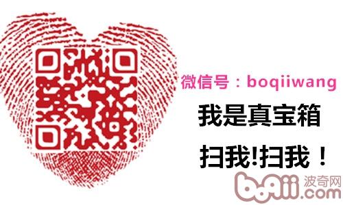新旧宠物猫共处应留意四点