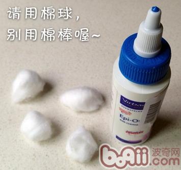 春暖花开，小毛病归来 ——防备猫藓、耳螨、掉毛、吐毛球的方法