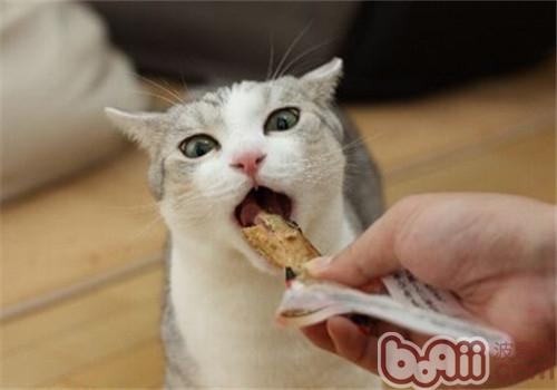 猫吃多了怎么办
