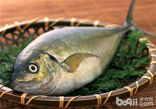 新年与猫咪共享人类食物要留神