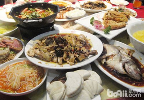 坐山观虎斗照料肠胃欠好的猫咪