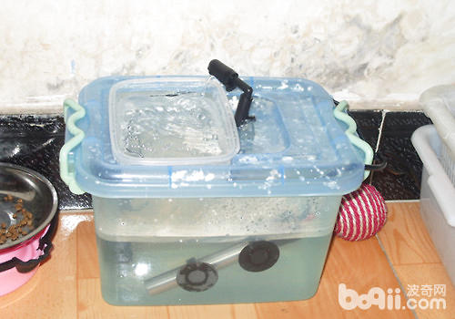 【DIY】猫咪主动饮水器制造