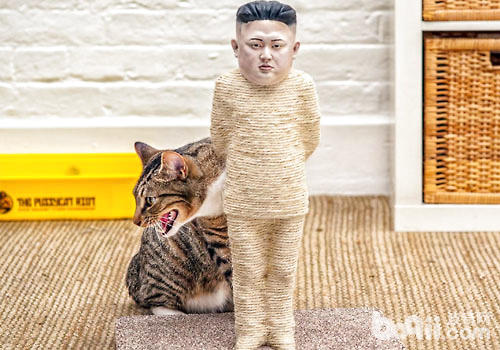 快春节了，给猫咪一个新式的猫爪板吧