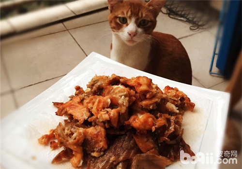 【美食攻略】克己猫咪零食之香烤三文鱼皮