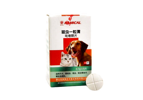 猫咪驱虫要守时定量吗？