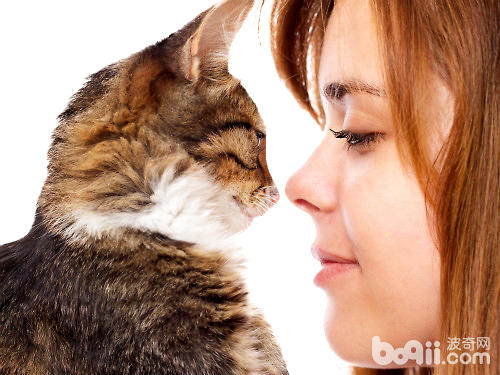 帮猫咪节食能够让你们更密切？