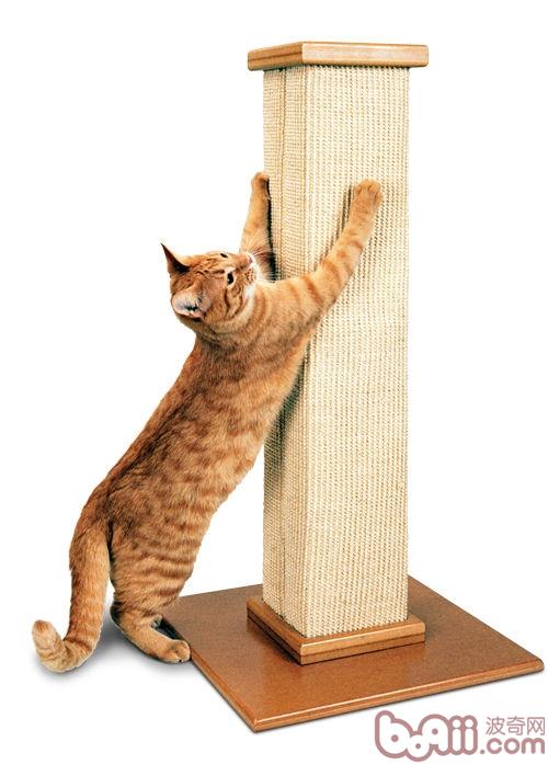 家具保卫战：练习猫咪不乱抓家具