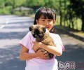 小狗不是玩具，平时抱小狗的常见问题