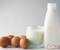 小狗食材中不能缺乏的蛋白成份