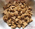 三招教你辨别犬粮质量