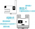 挑选最合适自身的宠物狗