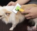 小宠物木梳的归类及主要用途
