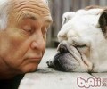 小狗们的嘴巴語言