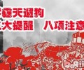 宠物营养师王天飞：雾霾天气遛猫遛狗的三大提示八项注意
