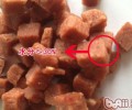会要小宠物命的黄曲霉菌